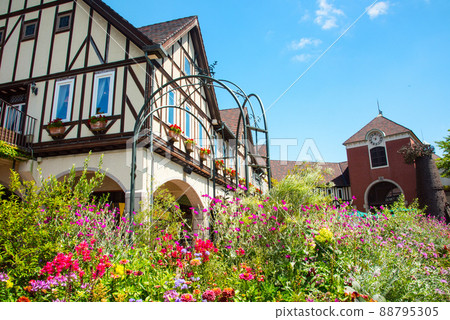 《神戶市》山中植物園布引藥草園/ 88795305