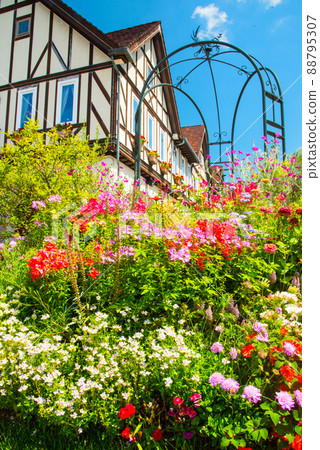 《Kobe City》 Botanical garden located in the mountains Nunobiki Herb Garden / 88795307