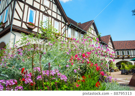 《神戶市》山中植物園布引藥草園/ 88795313
