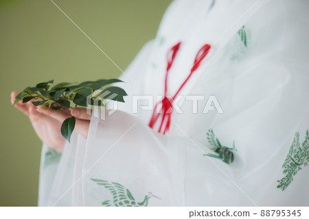 A priestess 88795345