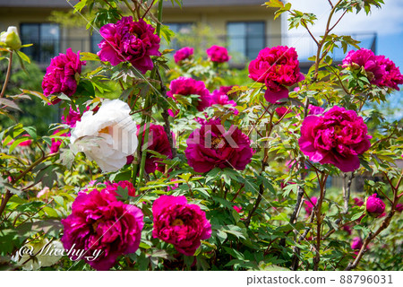 大師站前周邊 88796031