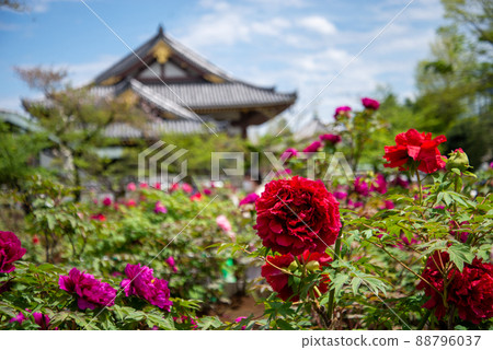 Around Daishi Ekimae Around Daishi Ekimae 88796037