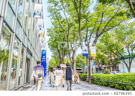 Tokyo Shibuya cityscape Omotesando 88796395