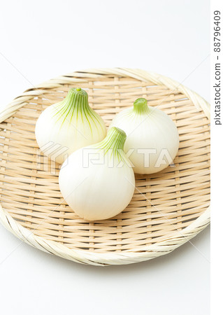 New onion white background New onion white background 88796409