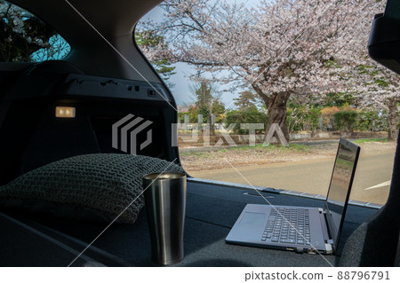 Telework in the car while looking at the cherry blossoms Telework in the car while looking at the cherry blossoms 88796791