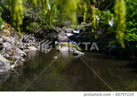Beautiful river and green trees 88797220