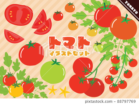 流行番茄的插圖集 88797769