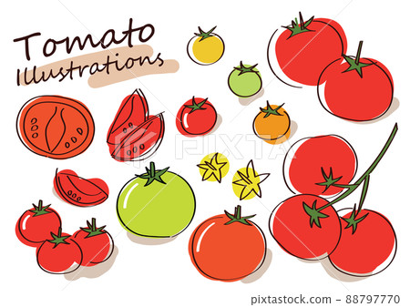 Fashionable hand-painted tomato illustration 88797770