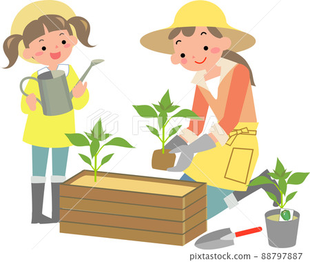 種植夏季蔬菜幼苗的女孩和母親 88797887