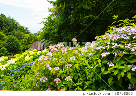 《Kobe City》 Botanical garden located in the mountains Nunobiki Herb Garden / 88798896