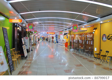 [愛媛縣松山市]松塚町 88799017