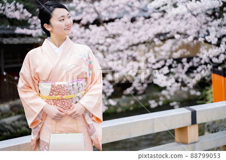 A woman sightseeing in Kyoto in a kimono Sakura Spring A woman sightseeing in Kyoto in a kimono Sakura Spring 88799053