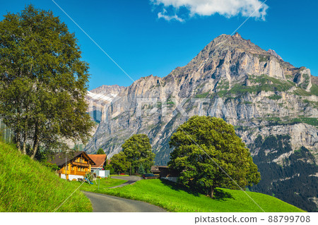 Wooden houses on the slope with picturesque view, Grindelwald, Switzerland Wooden houses on the slope with picturesque view, Grindelwald, Switzerland 88799708