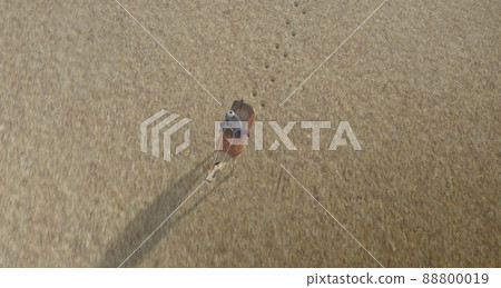 Camel and Desert Silk Road Camel and Desert Silk Road 88800019