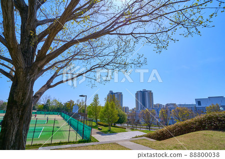 春天從東京都稻城市若葉台一丁目向東南側的二丁目看 春天從東京都稻城市若葉台一丁目向東南側的二丁目看 88800038