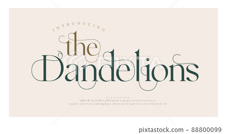 Luxury wedding alphabet letters font with tails. Typography elegant classic lettering serif fonts and number decorative vintage retro concept for logo branding. vector illustration 88800099