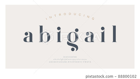 Elegant alphabet letters font and number. Classic Lettering Minimal Fashion Designs. Typography modern serif fonts decorative vintage concept. vector illustration 88800102