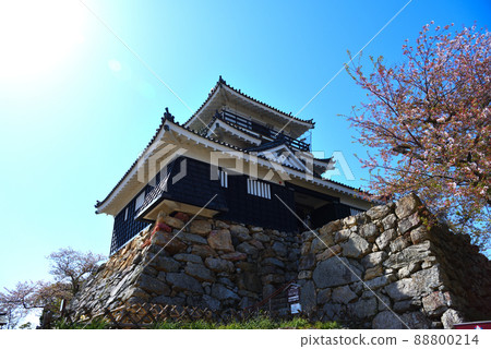 德川家康的成功城堡濱松城 88800214