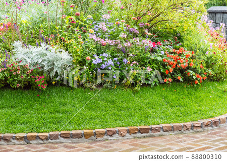 《神戶市》山中植物園布引藥草園/ 《神戶市》山中植物園布引藥草園/ 88800310