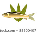 Ayu on bamboo leaves 88800407