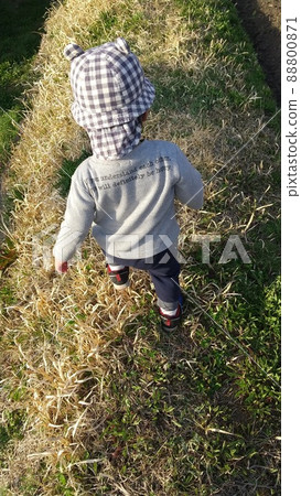 A child walking on a field road A child walking on a field road 88800871