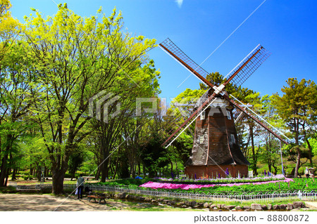 Nagoya City, Meijo Park Dutch Windmill Scenery Nagoya City, Meijo Park Dutch Windmill Scenery 88800872