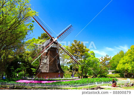 Nagoya City, Meijo Park Dutch Windmill Scenery 88800879