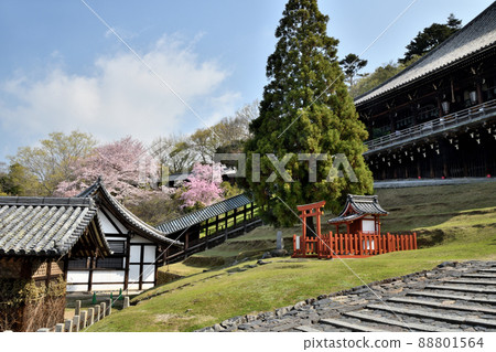 Todaiji Nigatsudo (National Treasure) [Zoshi-cho, Nara City, Nara Prefecture] 88801564