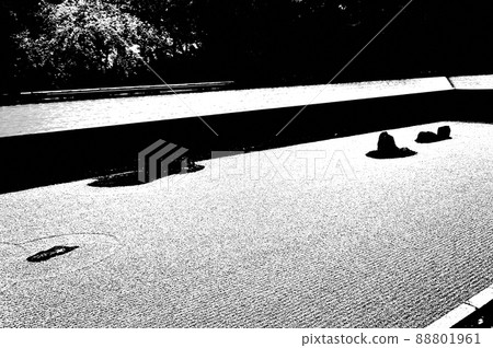 龍安寺石園和櫻花單色照片 龍安寺石園和櫻花單色照片 88801961