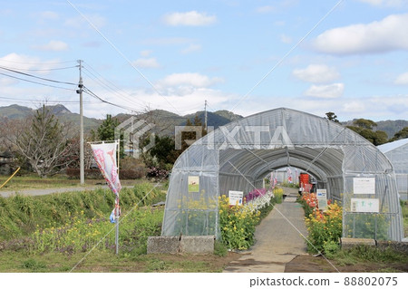 乙烯基的房子 88802075