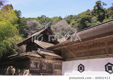 Miho Shrine Miho Shrine 88802413