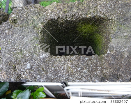 50年左右的砌塊牆處於危險狀態 50年左右的砌塊牆處於危險狀態 88802497