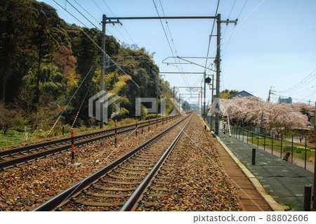 可以看到 JR 琵琶湖線軌道和櫻花的鐵路風景 可以看到 JR 琵琶湖線軌道和櫻花的鐵路風景 88802606