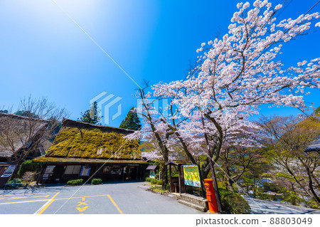 Gero Onsen Gassho Village 88803049