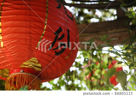 lantern 88803115