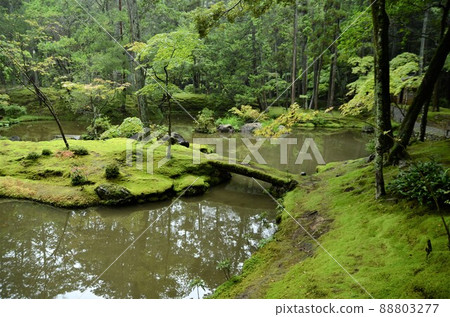 World Heritage Site, Saiho-ji Temple, Nishikyo-ku, Kyoto City Moss Garden 88803277