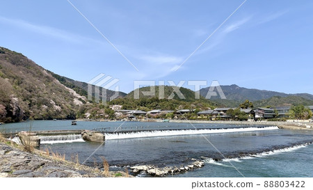 春天的嵐山[嵐山公園 中之島區/京都市] 88803422