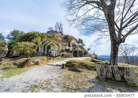 樹苗城堡廢墟 88803477