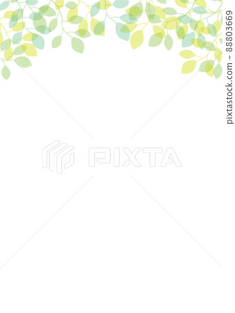 簡單的葉子白色背景 簡單的葉子白色背景 88803669