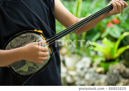 A boy playing the Okinawa Sanshin 88803820