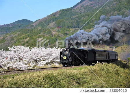 SL Yamaguchi JR Yamaguchi Line Sakura Bloom Tsuwano 88804010