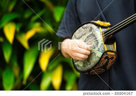 A boy playing the Okinawa Sanshin 88804167
