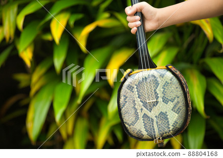 演奏沖繩三弦的少年 88804168