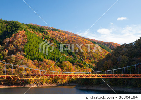 [Ono City, Fukui Prefecture, November] Autumn scenery at "Dream Bridge" Autumn leaves at Lake Kuzuryu 88804184