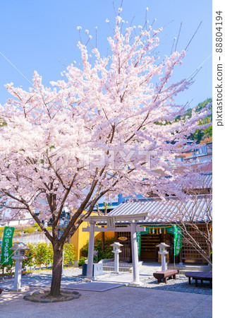 青蛙神社 青蛙神社 88804194