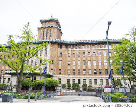 Fresh green of Nihonodori, Naka-ku, Yokohama-shi, Kanagawa 88804302
