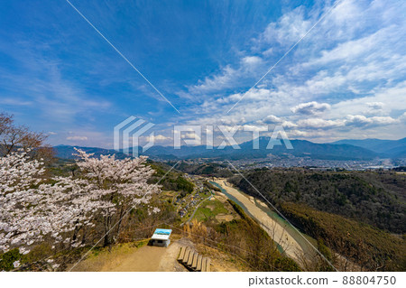 樹苗城堡廢墟 樹苗城堡廢墟 88804750