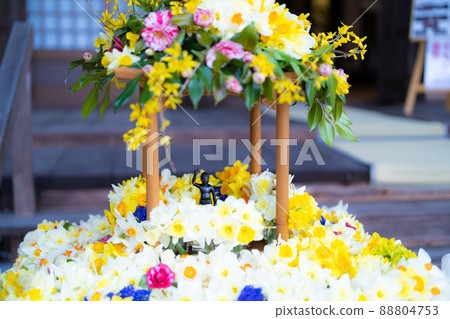 永陽寺花節 88804753