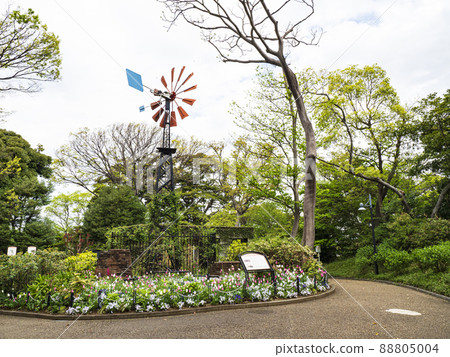 Spring in the Harbor View Park, Yokohama City, Kanagawa Prefecture Spring in the Harbor View Park, Yokohama City, Kanagawa Prefecture 88805004