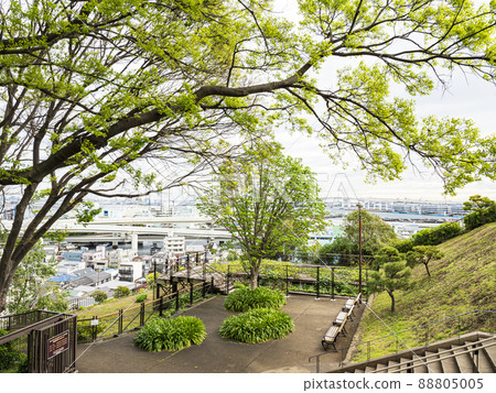 Spring in the Harbor View Park, Yokohama City, Kanagawa Prefecture Spring in the Harbor View Park, Yokohama City, Kanagawa Prefecture 88805005